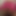 hornytinasissy