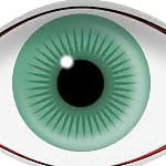 holysnappingduckshit