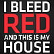 HoldenBlood