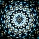 organism_x