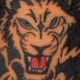 Thakorvishal14