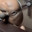 Darrell889