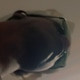 blackwethal0