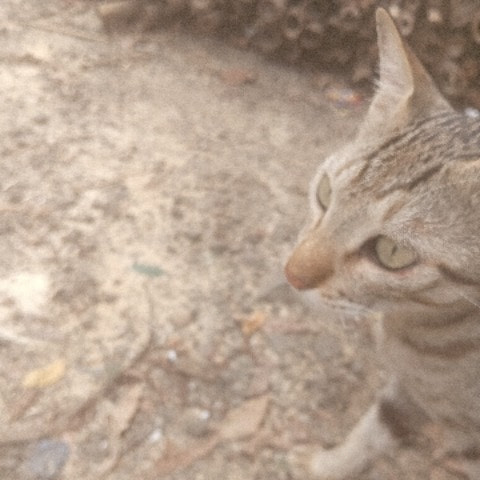 Rakeshsem