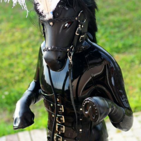 Pony_obedient