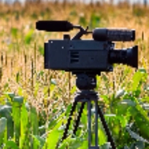 Cornfilms