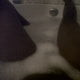 tightbodygyall