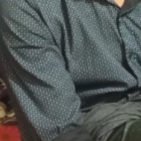 Daya798