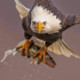 0913167788m