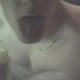 bifeaker