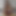 hornyalthee