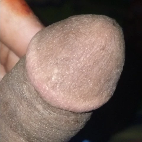 msmdmomin