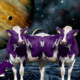Purplespacecows