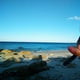 Angus_407