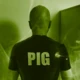 Pigboyfin1982