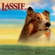 cadela-lassie