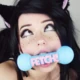 betapuppy_