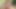 fandetrans69
