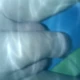 Avisexy6