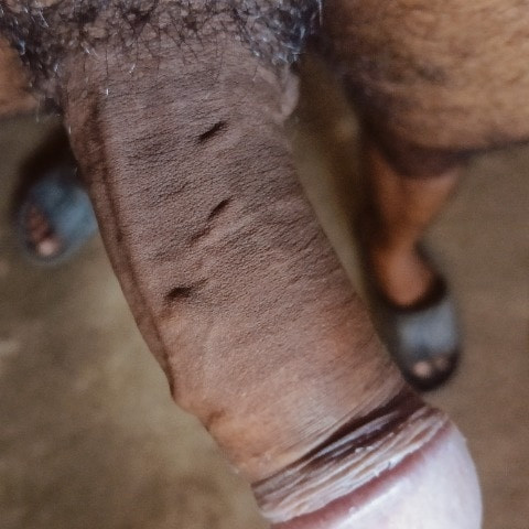 Desixbahi779