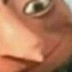 The_DyingLeaf