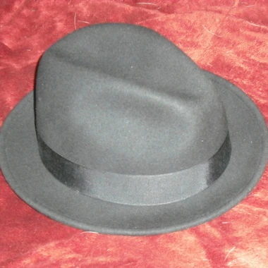 MasterFedora