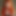 Favliveredhead