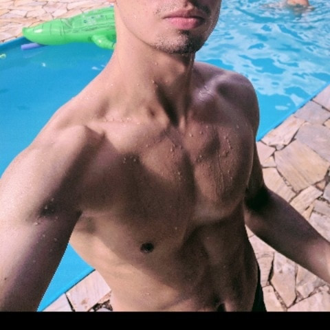 dominicdonatto