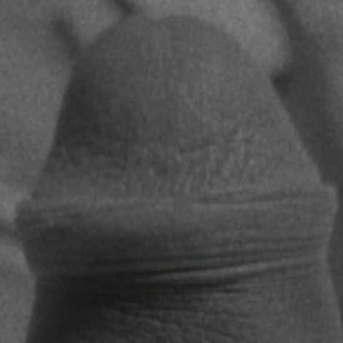 Tush8888