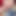 Sussycody