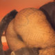 Desirable_Passion