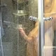 nprivate