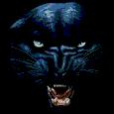 Panthersden1