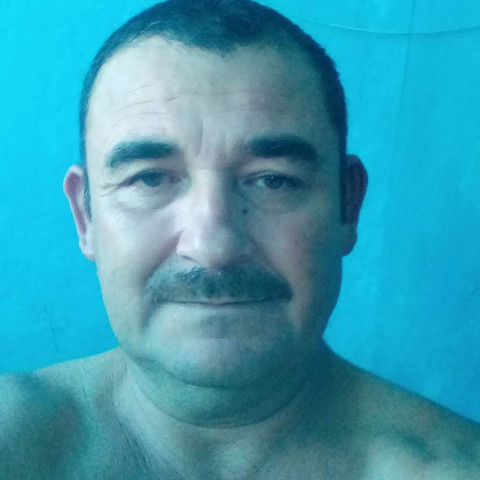 ticho666
