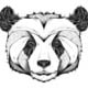 imapanda