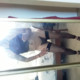 Slutty_LatinaCD