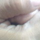 mdsazzadsorkar