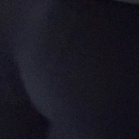 xpothos