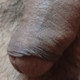 Rishab_02