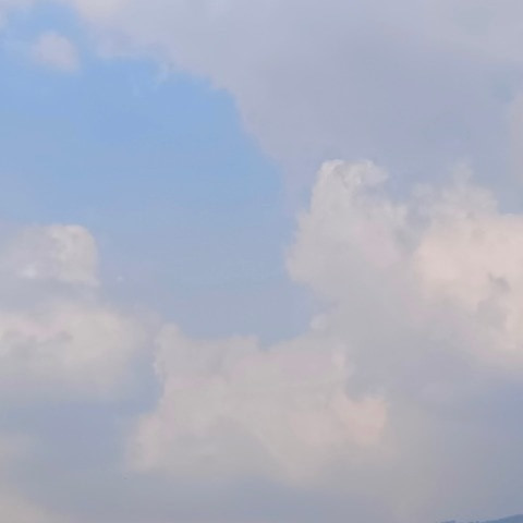 ScalyFocus8