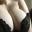 busty_donzela