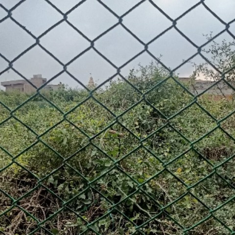 Jassi2600