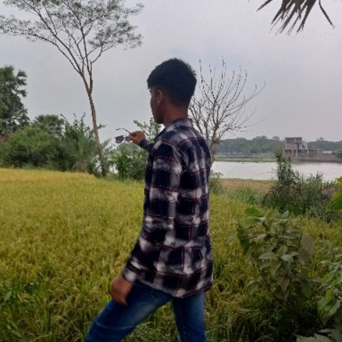 WingedQuiz583