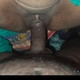 TerribleDevice19