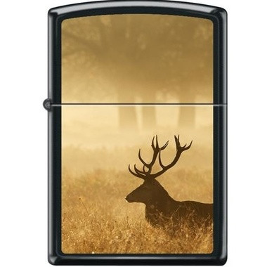 zippo10