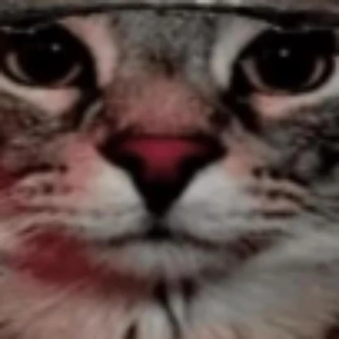 Xhamster profile picture for @pejk1