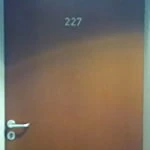 neighbour227