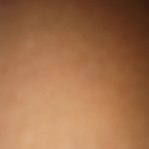 Dealovers