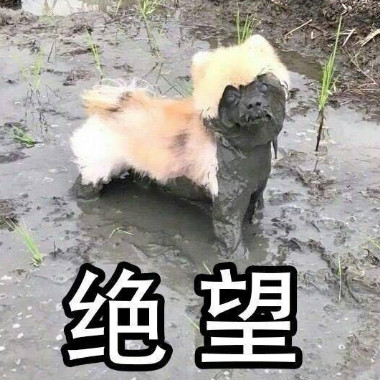 Qq393280