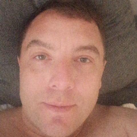 ImmaterialBee85